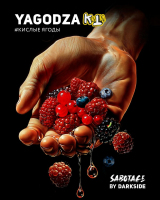 Darkside by SABOTAGE Yagodza ( ) 30 