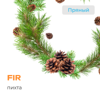 # Element ���� Fir (�����) 25 �