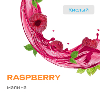 # Element ���� Raspberry (������) 25 �