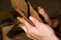 Aircraft ������� �������� ����� 25 �