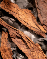 Aircraft ������������ �������� ����� 25 �