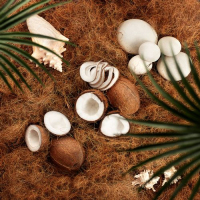 Aircraft ��������� ����� 25 �