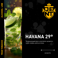 # JENT Alcohol Havana 29 (������) 100 �