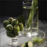 # Darkside Core Green Beam* 100 �