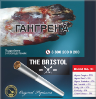 THE BRISTOL �������� ��� 330