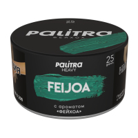 PALITRA Heavy - Feijoa (������) 25 � NEW