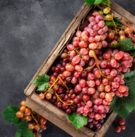 Aircraft ������� �������� 25 �